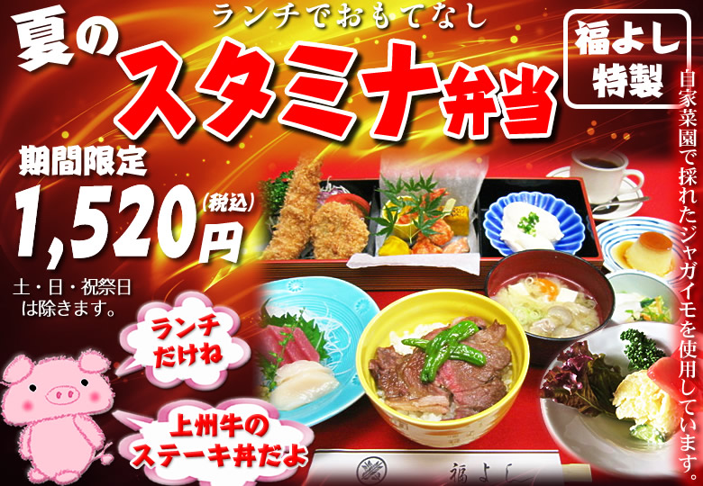 スタミナ弁当イメージ