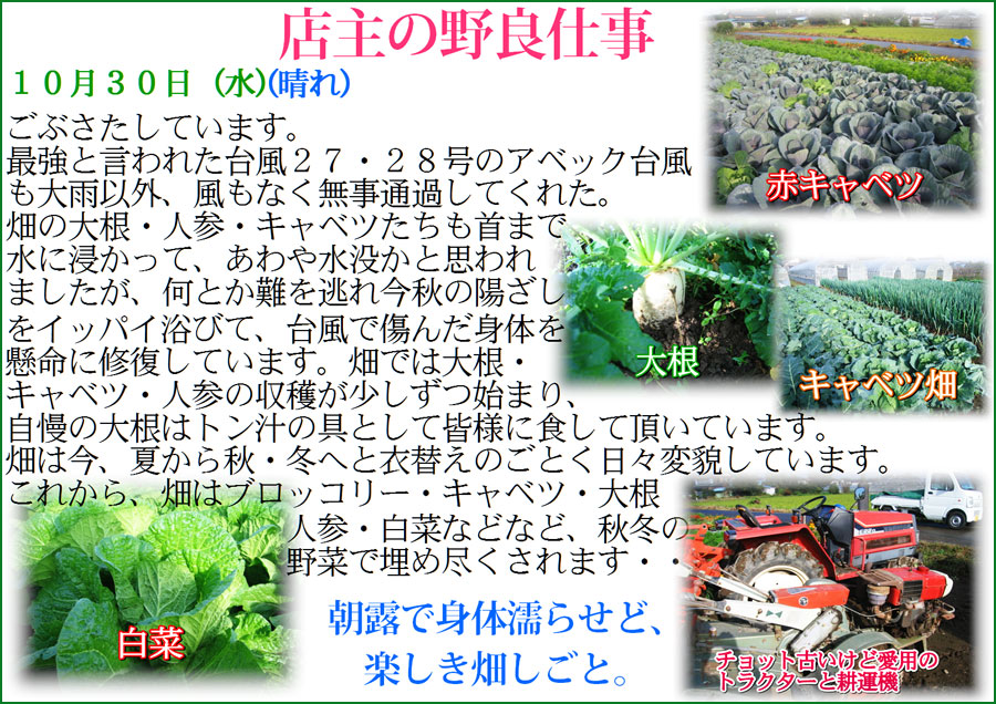 farmwork_20131030